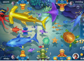 星空体彩app2024最新版