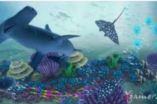 星空体彩app客户端